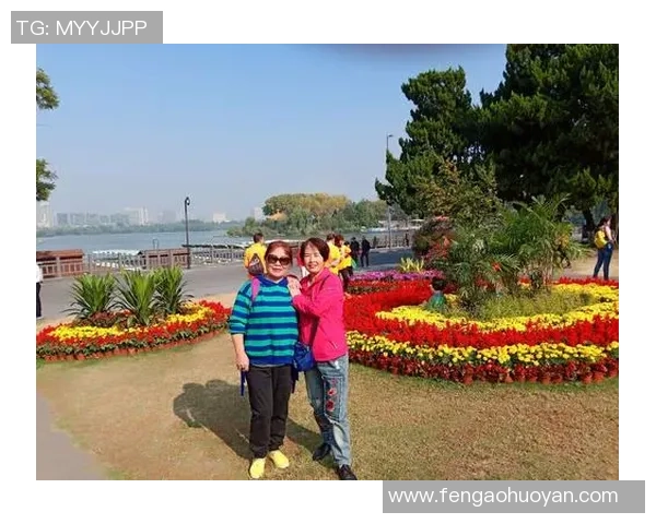 南京羽毛球队转型纪实：从传统到现代的奋斗与蜕变之路