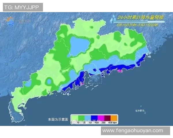 广州排球队转换得失分析与未来发展展望 广州排球队转换得失分析与未来发展展望