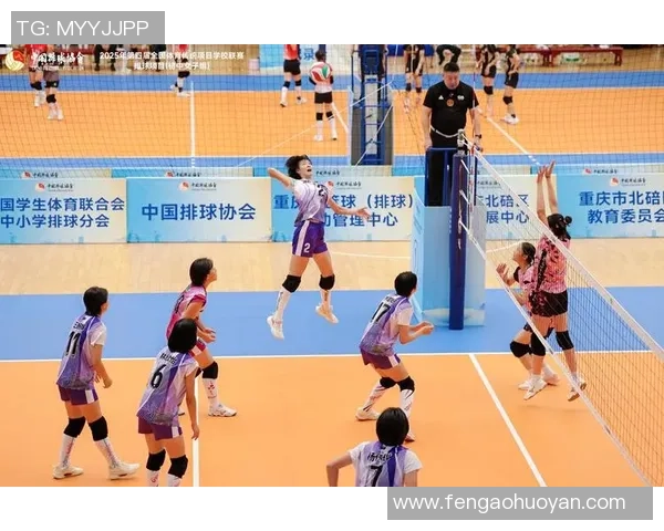 张芳的排球人生深度对话探索她的奋斗与梦想之路